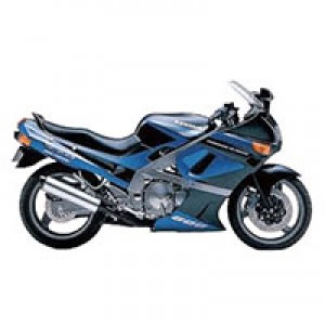Beste 1998-2003 Kawasaki ZZR600 Verkleidung