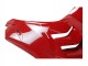 Beste Ducati Panigale V4 V4S Motorrad Verkleidung 2020-2021 - Rot Matt Schwarz