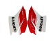 Beste Ducati 1299 Motorrad Verkleidung 2015-2020 - Weiss Rot Grun Matt Schwarz