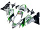 Beste Kawasaki ZX10R Motorrad Verkleidung 2004-2005 - Grun Silber Schwarz 69