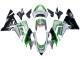 Beste Kawasaki ZX10R Motorrad Verkleidung 2004-2005 - Grun Silber Schwarz 69