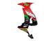 Beste Kawasaki ZX10R Motorrad Verkleidung 2008-2010 - Rot Grun Schwarz