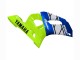 Beste Yamaha YZF 600 R6 Motorrad Verkleidung 1998-2002 - Neon Grun Blau Weiss Champions