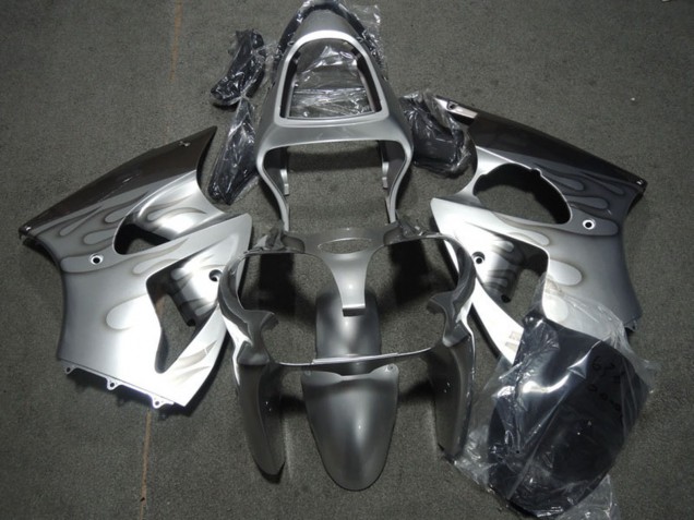 Beste Kawasaki ZX6R Motorrad Verkleidung 2000-2002 - Silber Grau Flamme