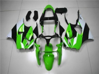 ZX6R 00-02 Motorrad Verkleidungen - Grün Weiß Schwarz