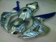 CBR 1000 RR 06-07 Motorrad Verkleidungen - Blau Flamme Silber