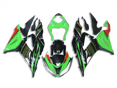 ZX6R 13-18 Motorrad Verkleidungen - Grün Schwarz